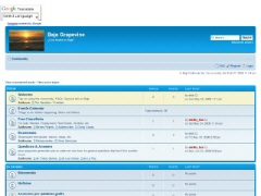 bajagrapevine.com snapshot