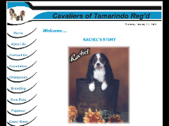 cavaliersoftamarindo.com snapshot